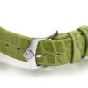 Edelweiss - Image 5